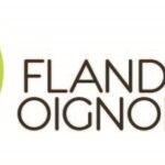 FLANDRES OIGNONS